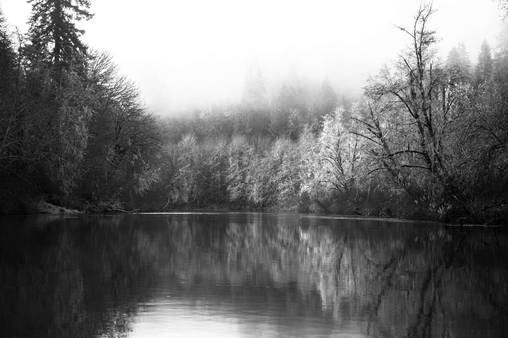 A misty river reflecting trees in black and white