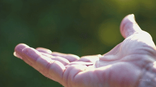 20250309_1622_Coin to Butterfly_simple_compose_01jnyke888efds43v3gd9xndhd